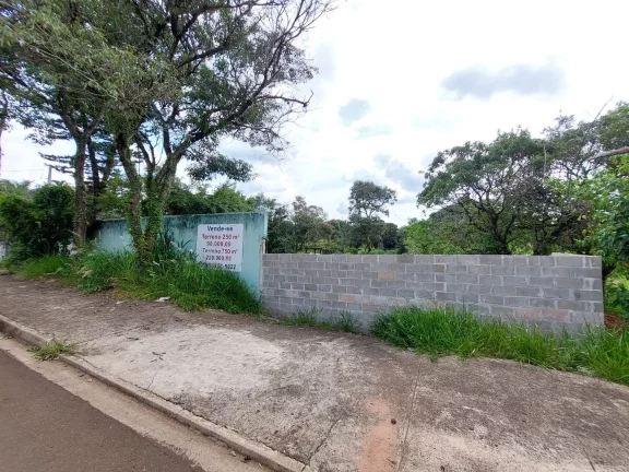 Imagem TERRENO PARA VENDA - NOVO HORIZONTE - TAQUARA BRANCA - HORTOLÂNDIA