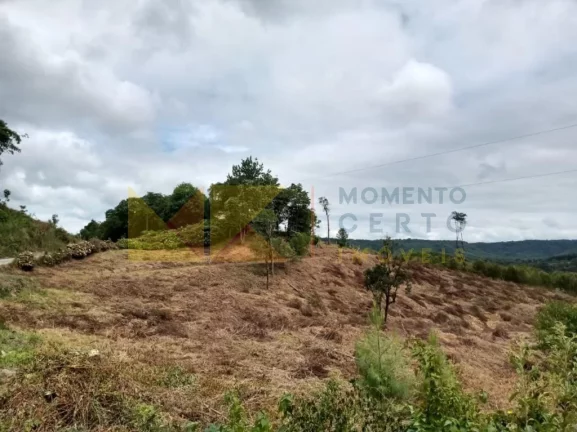 Imagem Fazenda à Venda, 90 m² em Barra Avencal - Rio Dos Cedros