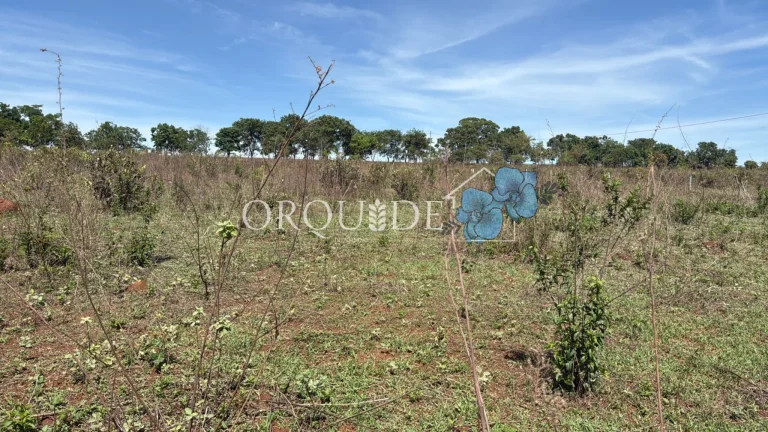 Imagem Fazenda à venda em Aparecida do Rio Doce-GO no bairro Setor Central com 10,00 alqueires de área