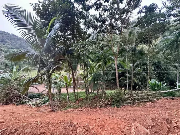 Imagem Terreno rural com 30.142,92m² em Massaranduba/SC