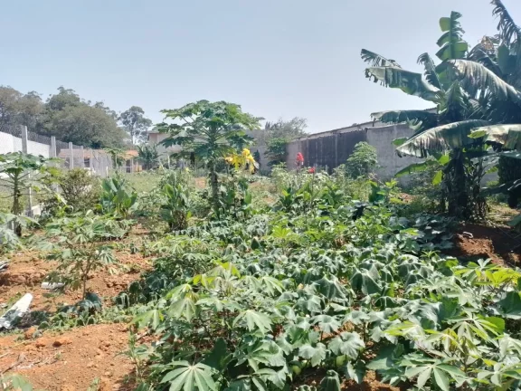 Imagem Terreno à venda, 923 m² por R$ 830.700,00 - Chácaras Reunidas Guaio - Suzano/SP
