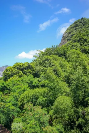Imagem Apartamento à Venda - Copacabana, 3 Quartos, 94 m2