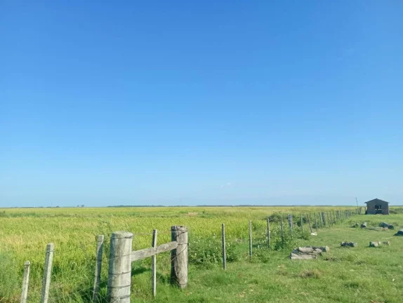 Imagem Fazenda à Venda – 173 Hectares – Arambaré/RS