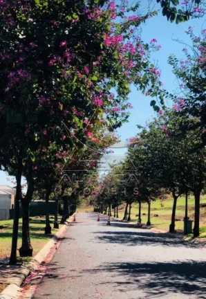 Imagem Terreno Condomínio - Ribeirão Preto - Bonfim Paulista