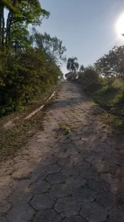 Imagem Chácara com 4 dormitórios à venda, 40000 m² por R$ 1.250.000,00 - Quinta Divisão - Suzano/SP