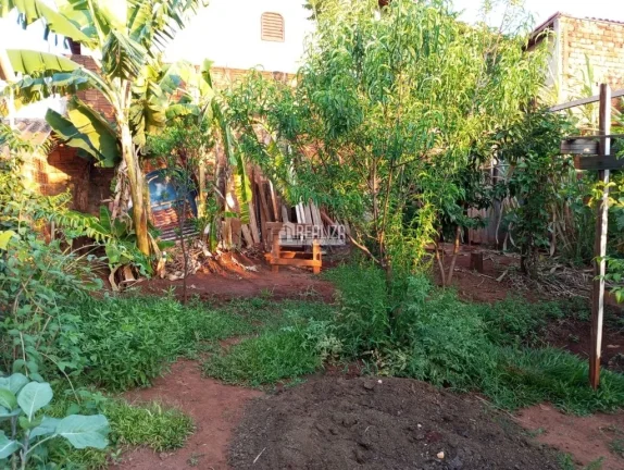 Imagem Casa à venda na Vila Elza, Aramina: 3 dormitórios e suíte!