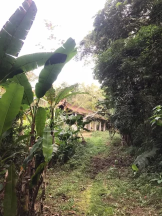 Imagem LINDA ÁREA DE 32.500M² EM UBATUBA, FACÍL ACESSO... OPORTUNIDADE.