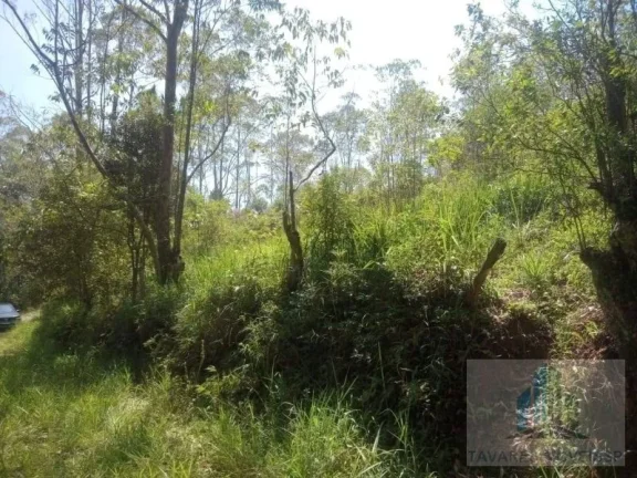 Imagem Terreno, 1300m2, à venda em Suzano, Jardim dos Eucaliptos