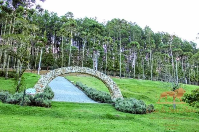 Imagem Terrenos à venda Alto Capivari - Reserva Figueiredo