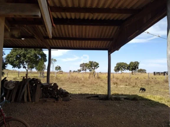 Imagem Fazenda à venda finalidade pecuaria formada, localizada na Região do Rio Manso , Chapada dos Guimarães - MT