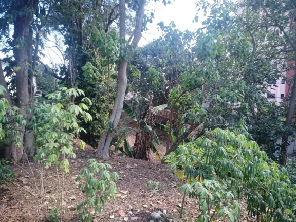 Imagem Terreno à venda, 1078 m² por R$ 5.000.000,00 - Centro - Poá/SP