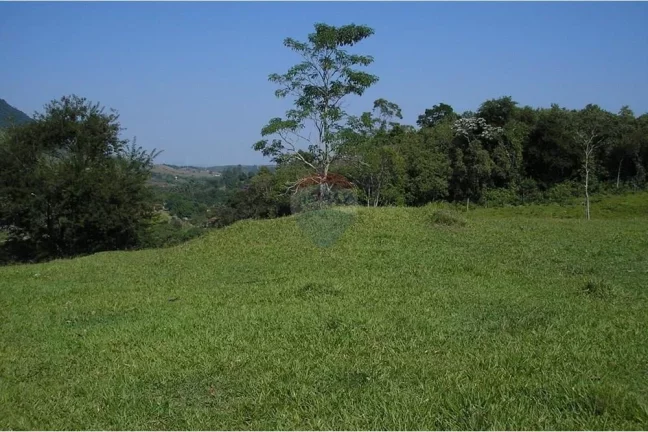 Imagem "Adquira Sua Fazenda dos Sonhos na Agro Brasil, RJ!"