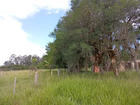 Imagem Sítio a venda com 9 Hectares, Passo da Areia, Viamão/RS
