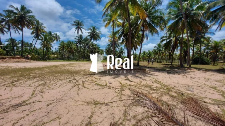 Imagem Terreno Pé na Areia