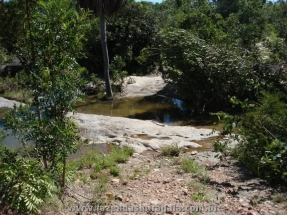 Imagem Fazenda para Venda por R$16.000.000,00 - Monte alegre, Goiania / GO - Cód. BDI24609