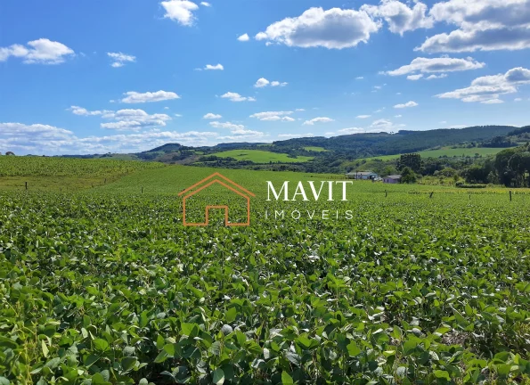 Imagem SITIO RURAL em CAPÃO ALTO - SC, Capão Alto