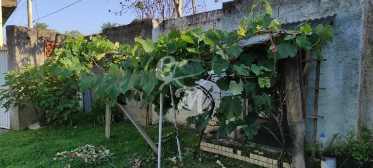 Imagem Chácara com muito verde na Roseira