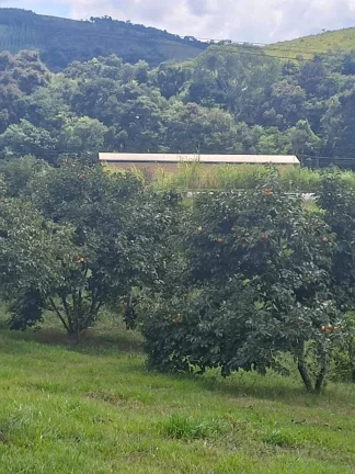 Imagem Terreno de 6.000m2 à Venda na BR-040 – Ideal para Investimentos