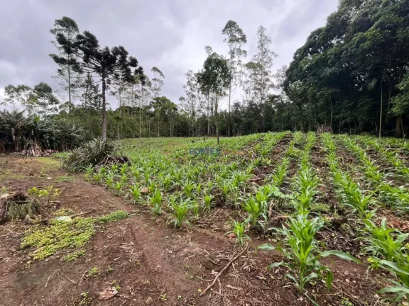 Imagem Hectares no Sul, Area de terra no RS, Hectare em maquine, RS