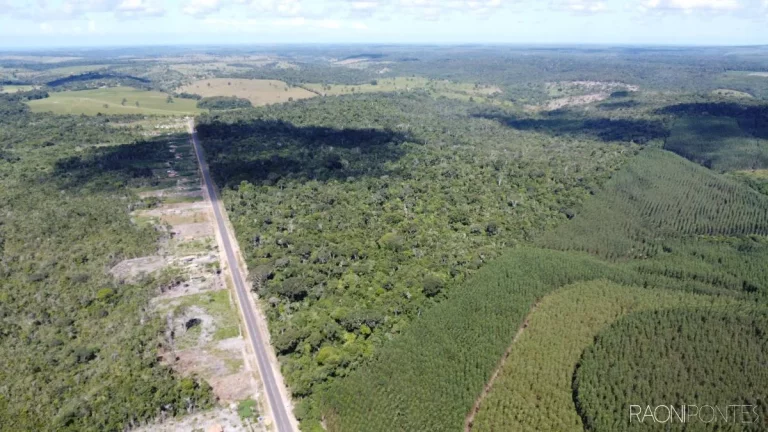 Imagem Fazenda à Venda, 7.140.000 m² em Zona Rural - Cardeal Da Silva
