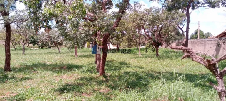 Imagem Lote em Condomínio Fechado para Venda em Brasília, Setor Habitacional Tororó (Jardim Botânico)