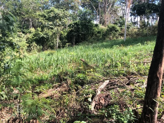Imagem À venda: um lindo terreno plano de 378m² na encantadora cidade de Bom Jesus dos Perdões!
