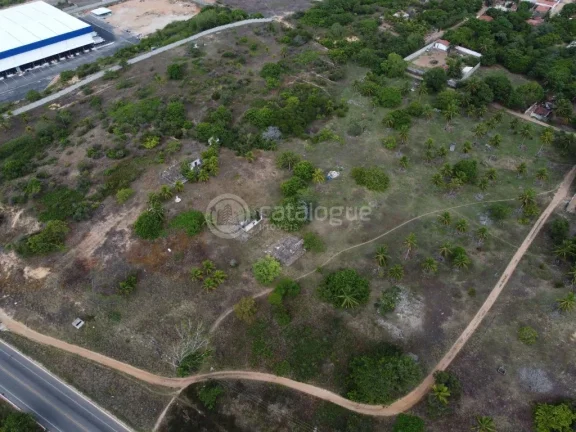 Imagem Área na BR - 101 - Em São Gonçalo do Amarante 6,8 Ha