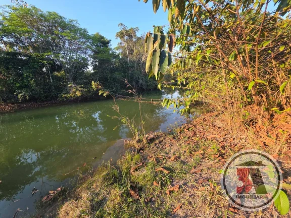 Imagem Terra de Patrão c/ 412 hectares à 27 km de Porto Velho