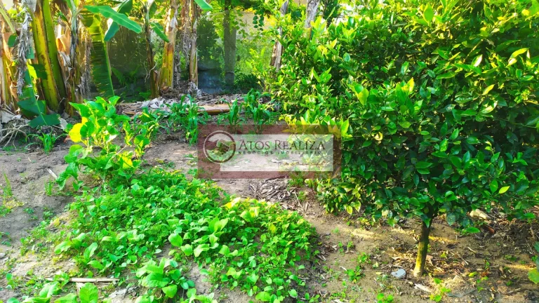 Imagem Compre Rancho/ Chácara em Jardim Santa Tereza - São Paulo