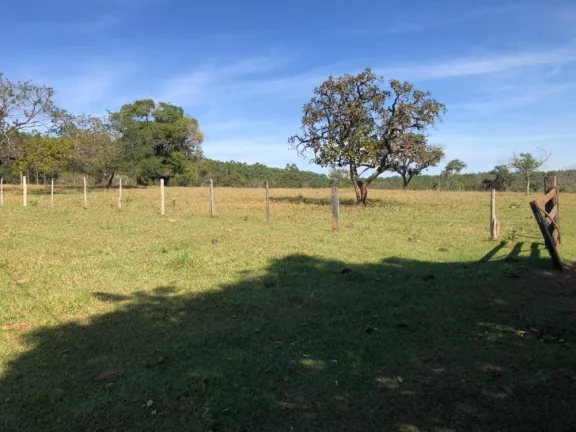 Imagem Sítio a VENDA, Paulistânia/SP