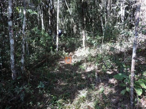 Imagem Sítio com 2 dormitórios à venda, 1000000 m² por R$ 28.000.000,00 - Dos Marmelos - Campos do Jordão/SP