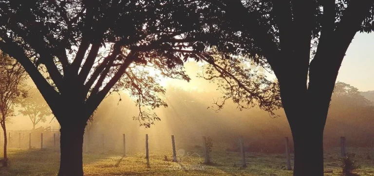Imagem Terreno à venda no bairro Cachoeirinha - Bom Jesus dos Perdões/SP