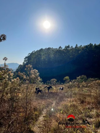 Imagem Área a Venda na Região entre Campos do Jordão e São Bento do Sapucaí-SP.