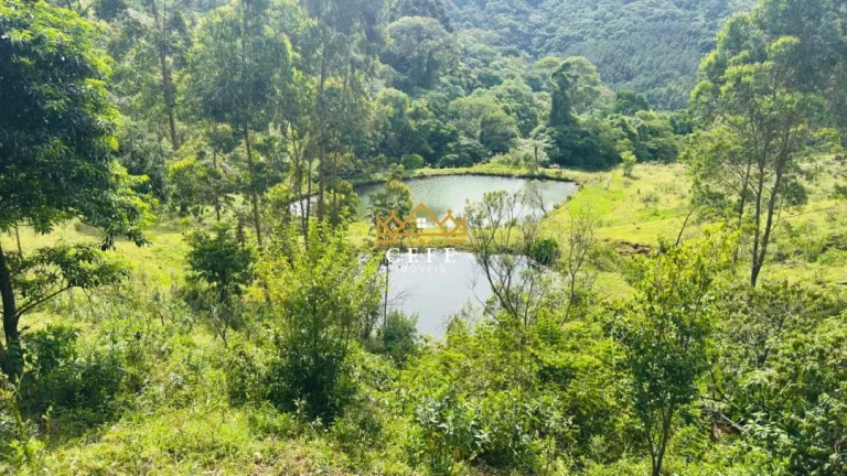 Imagem Chácara - Sítio com 2 Dormitorio(s) localizado(a) no bairro Zona Rural em Santa Maria do Herval / RIO GRANDE DO SUL Ref.:1592