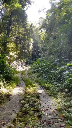 Imagem Terreno 30.000m² à Venda na Praia de Maresias - São Sebastião SP.
