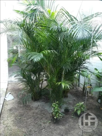 Imagem Apartamento 01 quarto, localizado na Madalena, Recife - Pernambuco.