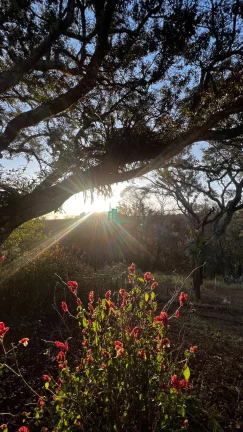 Imagem PROPRIEDADE RURAL DE ALTO PADRÃO COM EXCELENTE LOCALIZAÇÃO