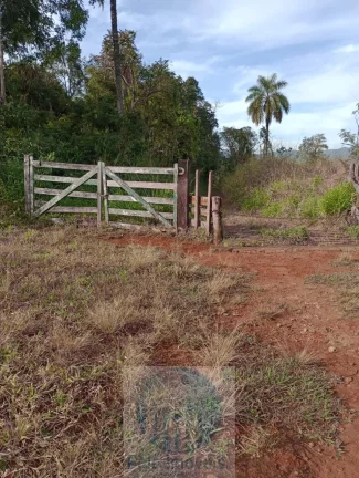 Imagem Sítio vende 10 alqueires em Altinópolis - SP, terra de cultura, vermelha e em pasto.