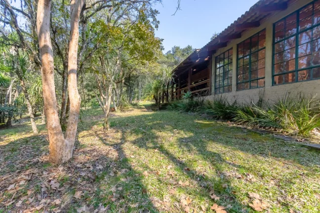 Imagem Chácara 62.550m² no Rondinha - Campo Largo