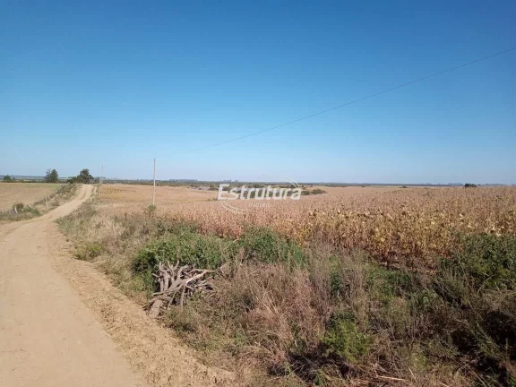 Imagem Área rural com aptidão para plantio de arroz de 190ha