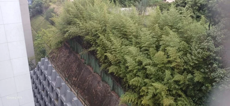 Imagem Apartamento a venda na Bela Vista - Plinio Barreto
