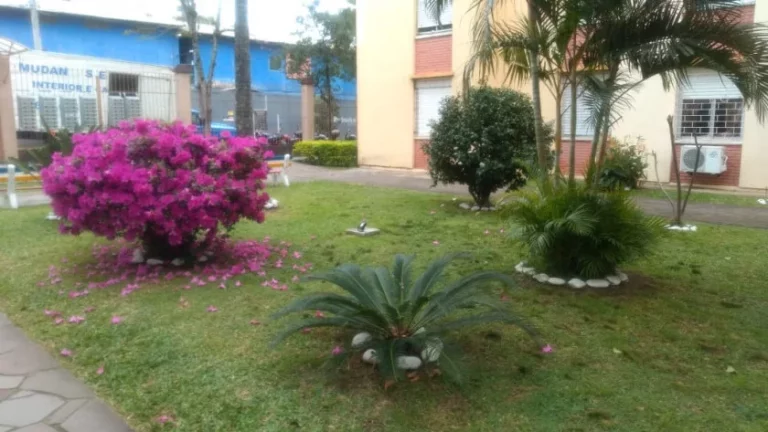 Imagem Apartamento com 1 quarto, 38m2, à venda em Porto Alegre, São Sebastião