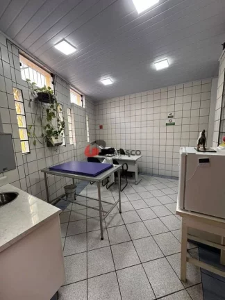Imagem Casa para locação, Santa Maria, São Caetano do Sul, SP