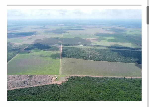 Imagem Vendo esta fazenda em Mato Grosso.