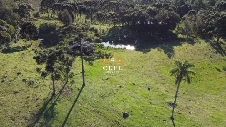 Imagem Chácara - Sítio com 3 Dormitorio(s) localizado(a) no bairro Serra Grande em Três Coroas / RIO GRANDE DO SUL Ref.:1016