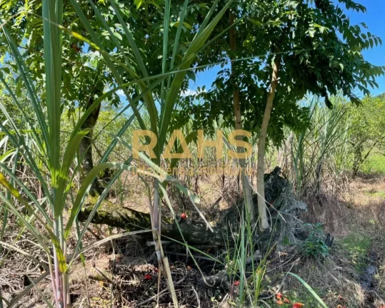 Imagem Chácara no bairro de Três Barras na cidade de Garuva / SC Excelente investimento para Venda São 2...