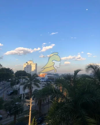 Imagem OPORTUNIDADE VILA SUZANA APARTAMENTO VENDA 52,00 M 2 DOMITÓRIOS SALA 2 AMBIENTES VARANDA ÁGUA QUENTE 1 VAGA LIVRE LAZER VISTA NASCER E PÔR DO SOL