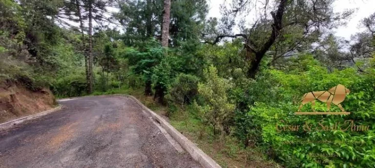 Imagem Terreno à venda, 5170 m² por R$ 350.000,00 - Descansópolis - Campos do Jordão/SP