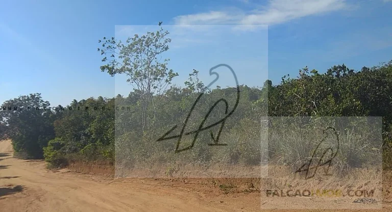 Imagem Terreno para Venda em Camaçari / BA no bairro Arembepe (Abrantes)