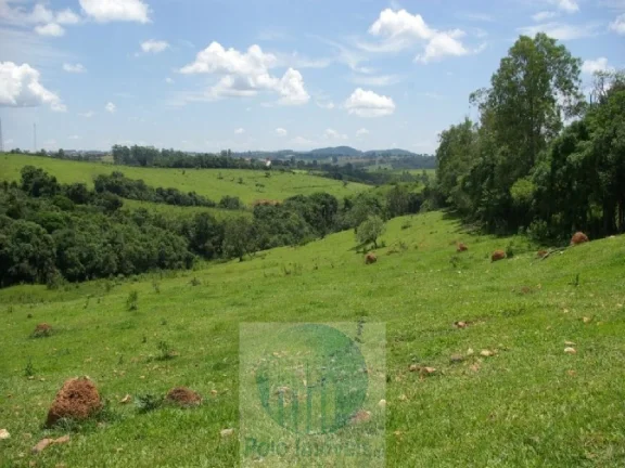 Imagem FAZENDA 169 HA, 1051 M ALTITUDE PARA CAFÉ, JACUÍ - MG